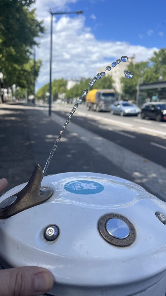 Borne fontaine rince bouche lyon